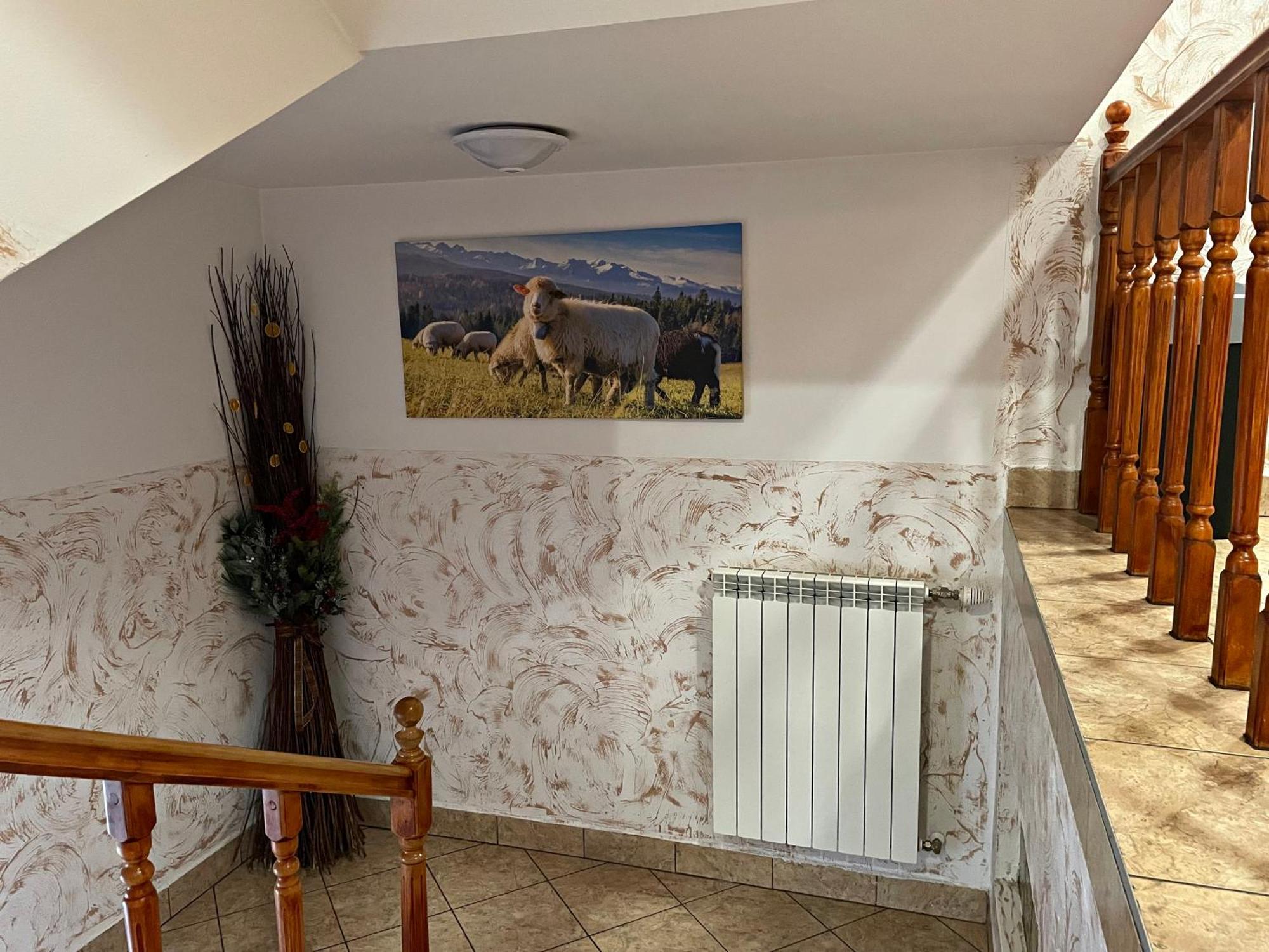 D.W. Tatra House Panzió Zakopane Kültér fotó